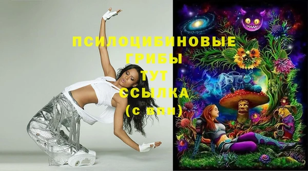 дурь Алексеевка