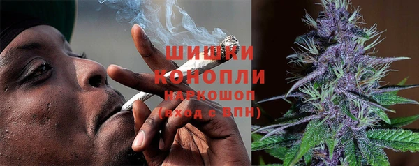 шишки Нягань